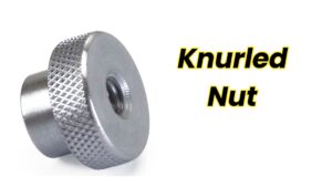 Types of Nut - नट के प्रकार